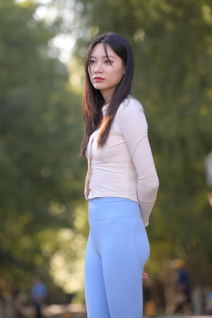 熊出没猎鹰熊岛