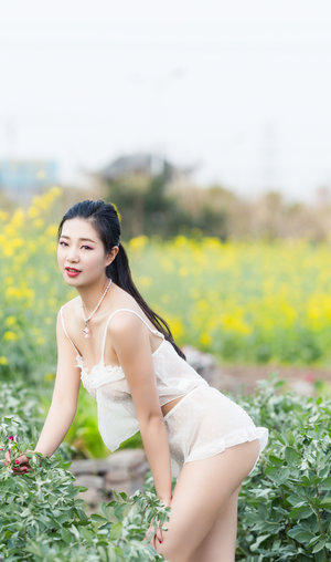 丝瓜茄子芭乐草莓太阳榴莲